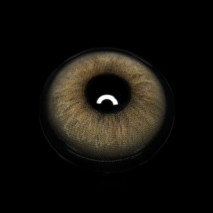 Pallas Brown Coloured Contact Lenses